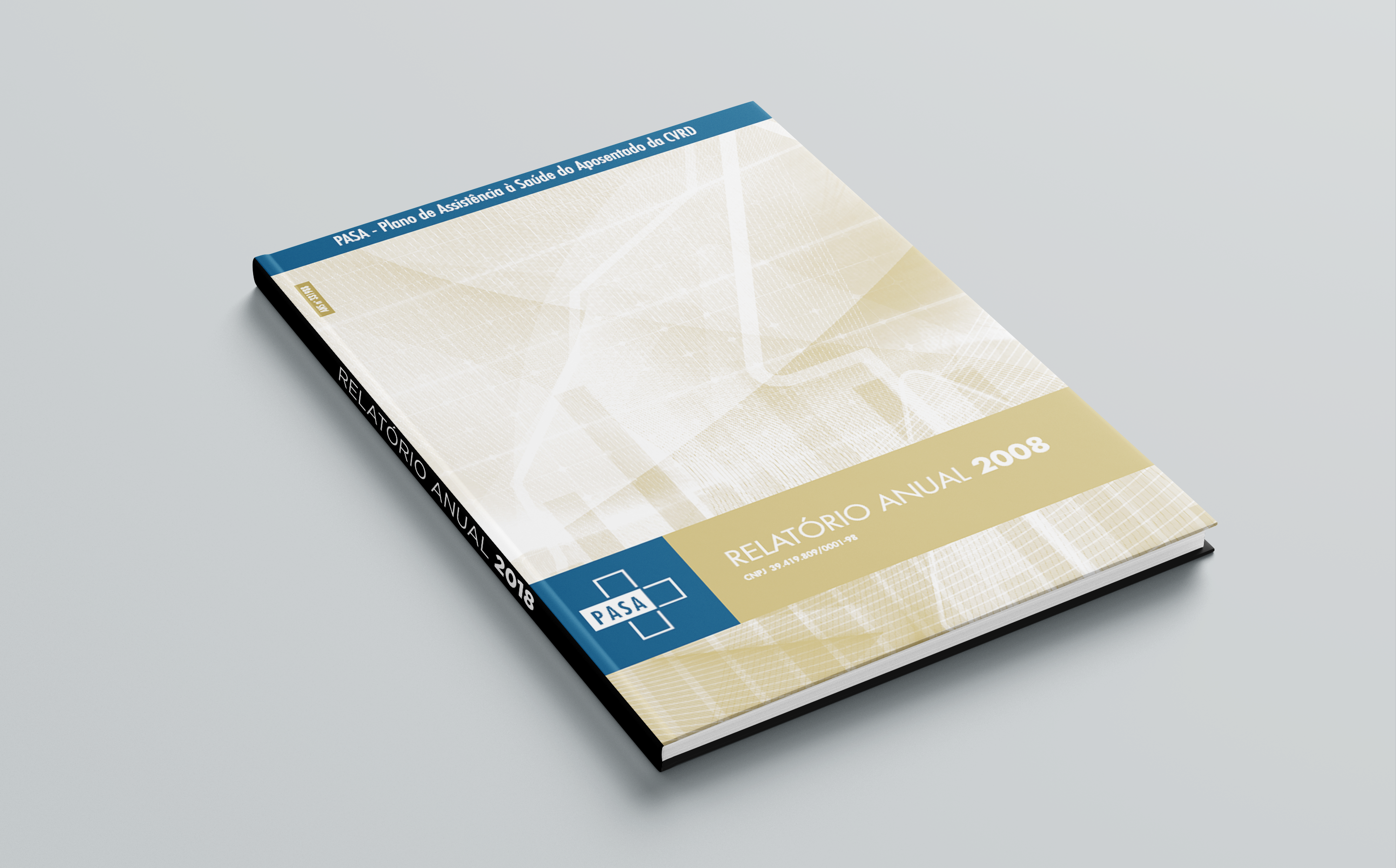 Relatório Anual 2008