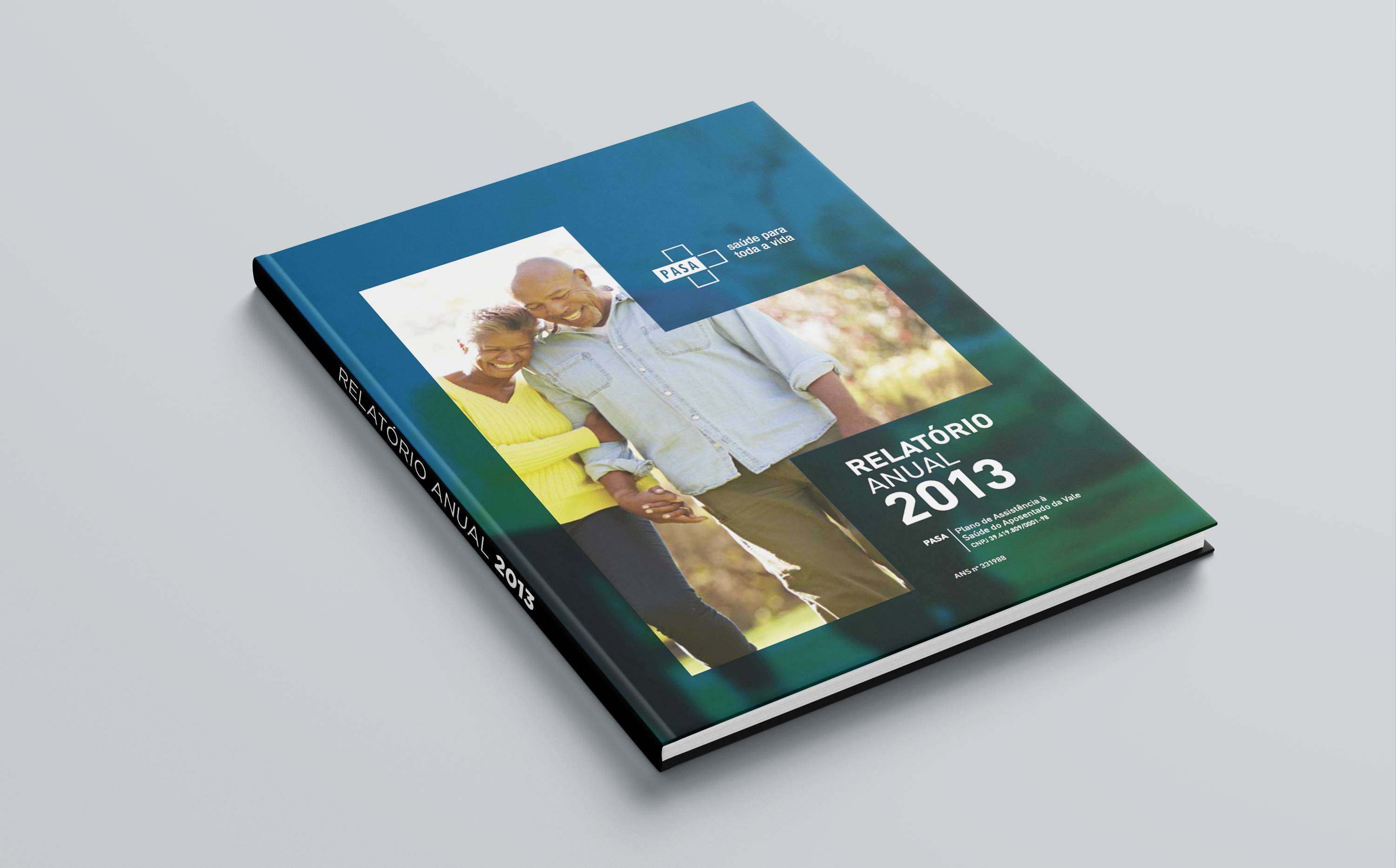 Relatório Anual 2013