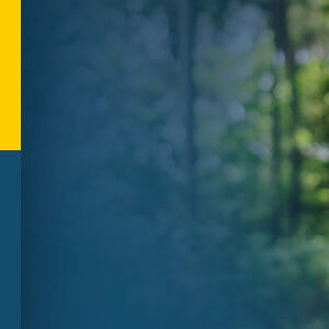 Dia mundial da saúde mental: cultive seu bem-estar