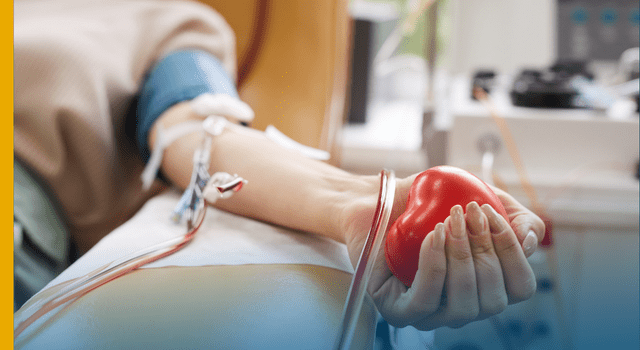 Sabia que uma única doação de sangue pode salvar até quatro vidas?