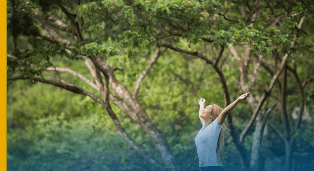 Entenda como dez minutos de contato com a natureza podem fazer bem à saúde